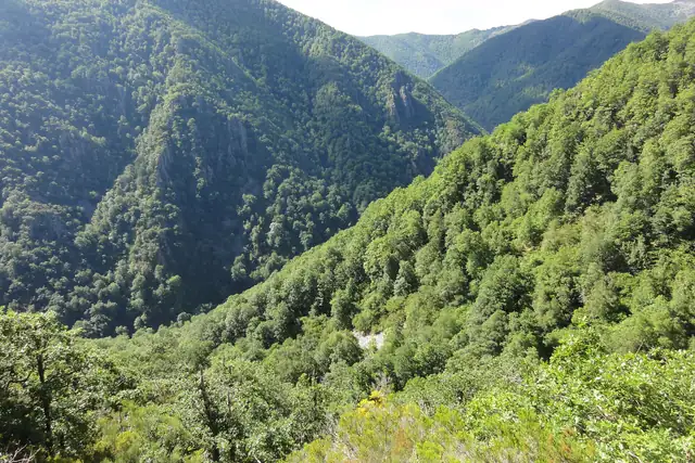 Vista de Muniellos