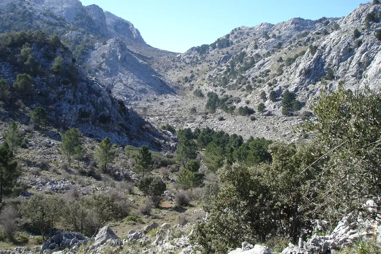 Llanos del Endrinal