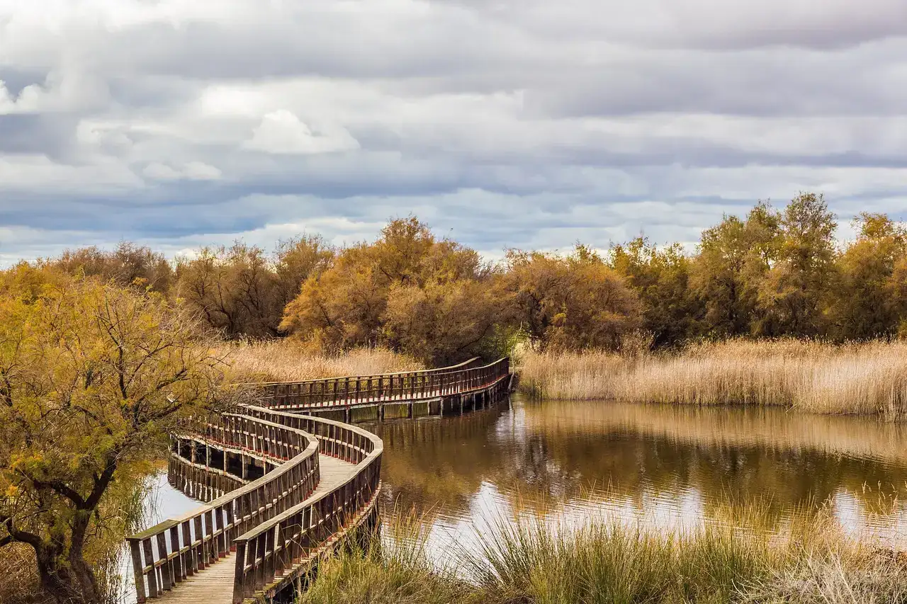 Bridge in Tablas de Daimiel National Park, province of Ciudad Real, Spain.