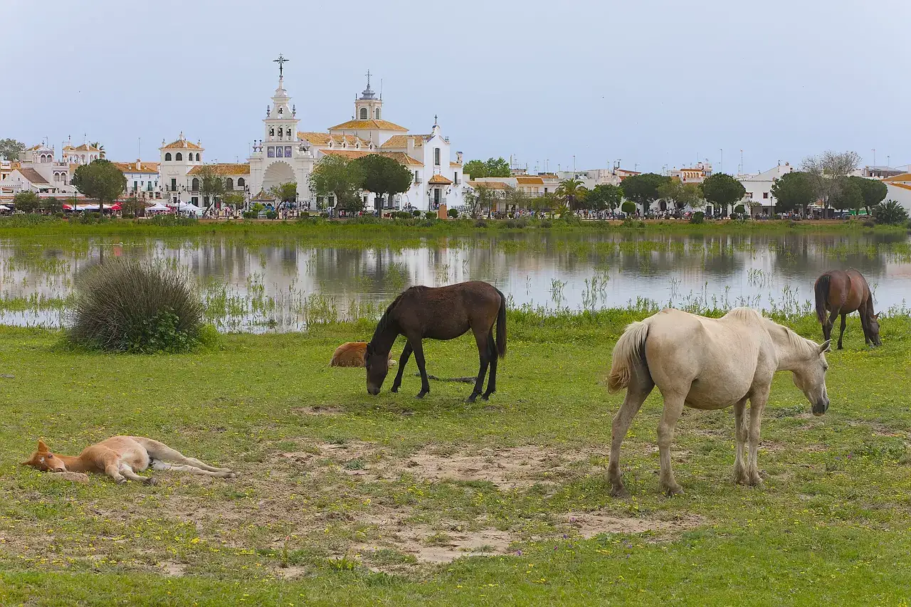 El Rocío (Andalusia, Spain) - View of the historical center from southwest with horses in the foreground