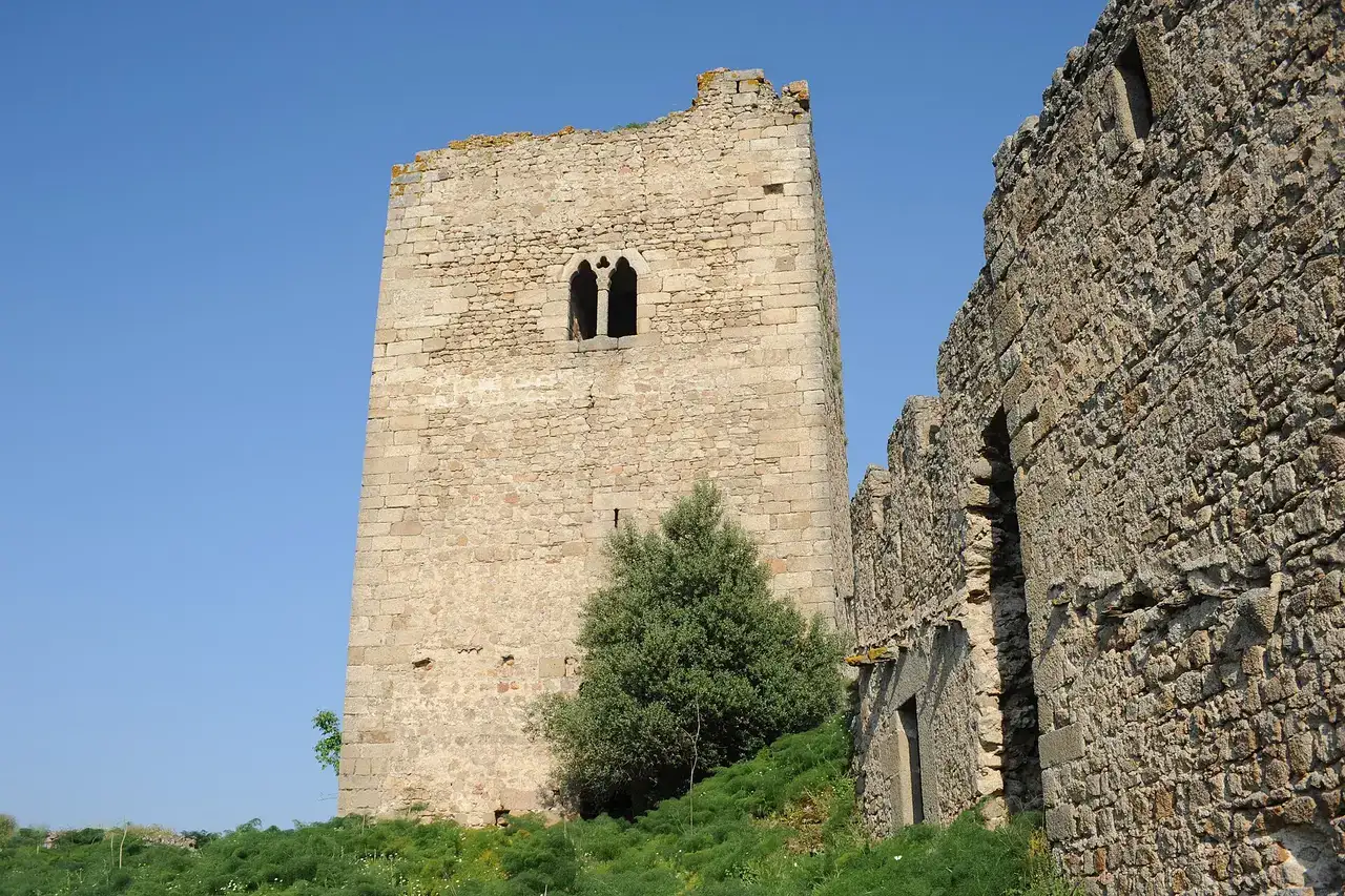 Detalle del Castillo de Peñafiel (Zarza la Mayor)